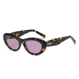 Transparent Brown frame / Purple lens