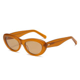 Transparent Brown frame / Brown lens