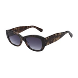 Transparent Brown frame / Smoke lens