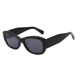 Shiny Black frame / Smoke lens