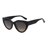 Shiny Black frame