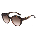 Transparent Brown frame