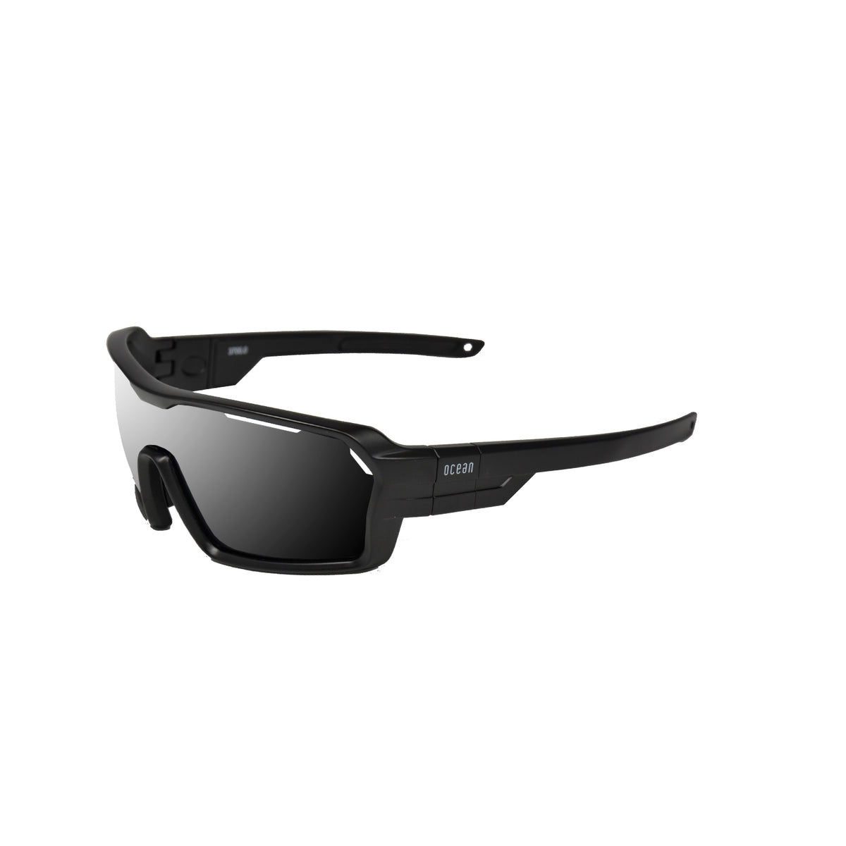 CHAMELEON - Matte Black frame / Smoke lens / Black Strap