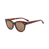 Transparent Brown frame / Brown lens