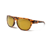 Turtle frame / Revo Gold lens