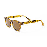 Transparent Brown frame / Brown lens
