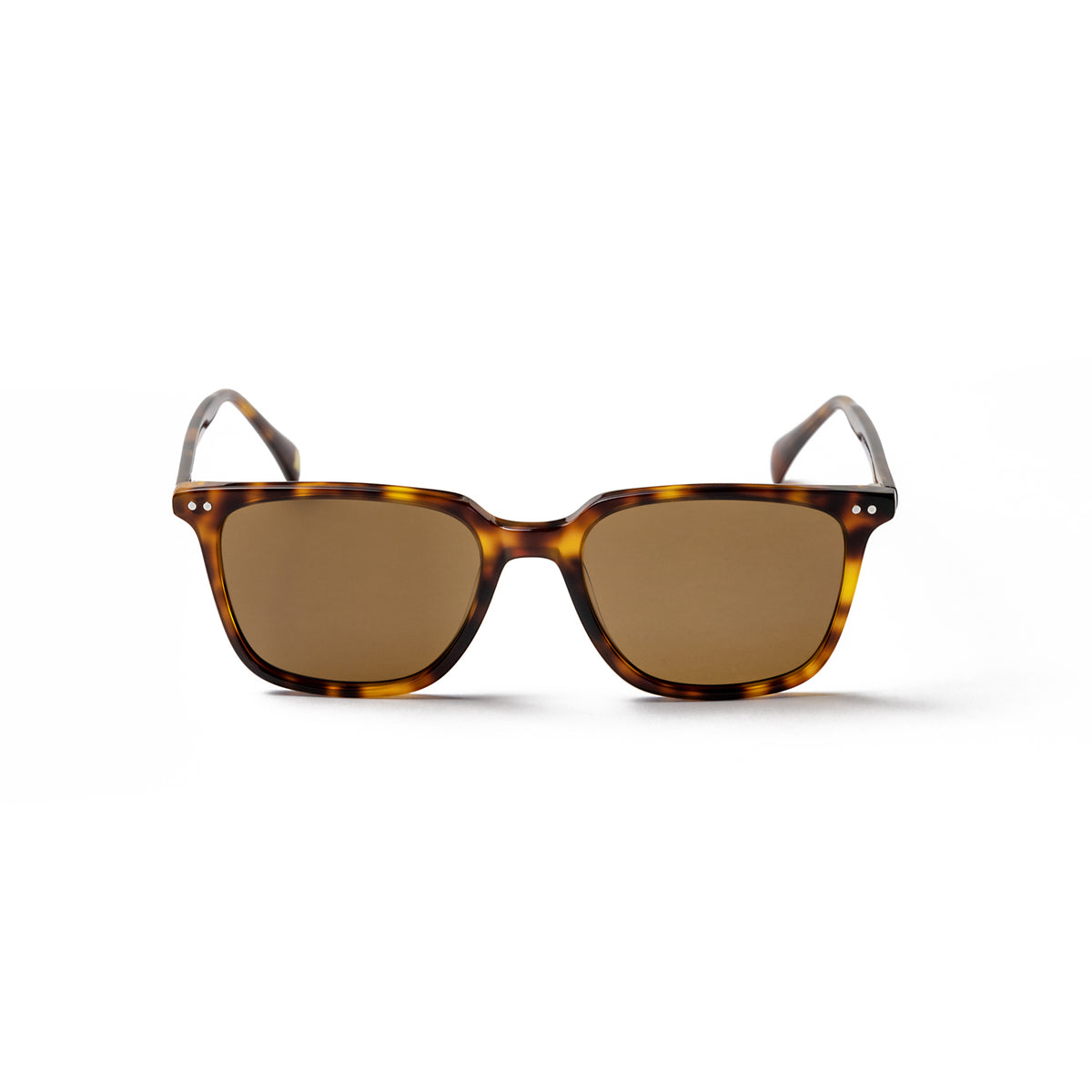 REDFORD - Transparent Brown frame