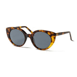 Transparent Brown frame / Smoke lens
