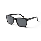 Shiny Black frame / Smoke lens
