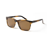 Brown frame / Brown lens