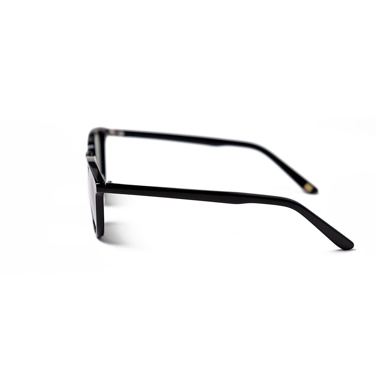 VICTORIA - Shiny Black frame / Smoke lens