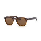 Transparent Brown frame / Brown lens