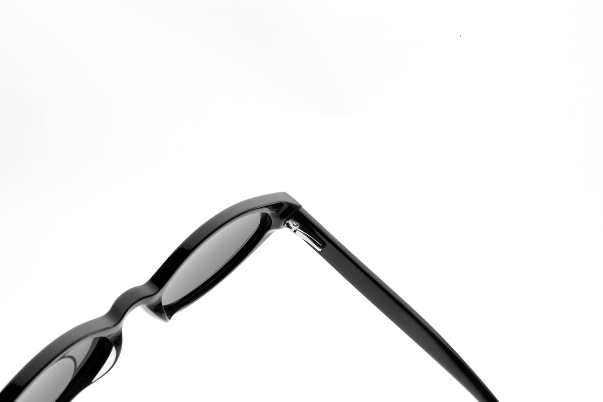 PASSION - Shiny Black frame / Smoke lens