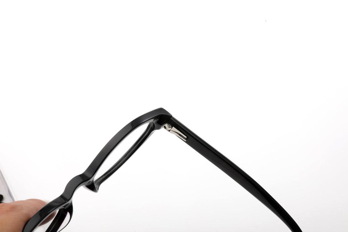 PASSION - Shiny Black frame / Smoke lens