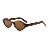 Transparent Brown frame / Grey lens